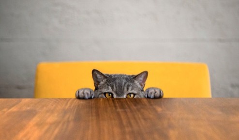 Как научиться реагировать на ошибки