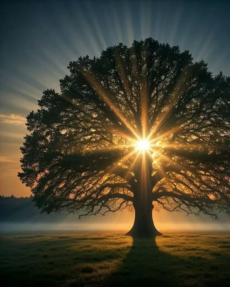 Сказка о тревоге для взрослых