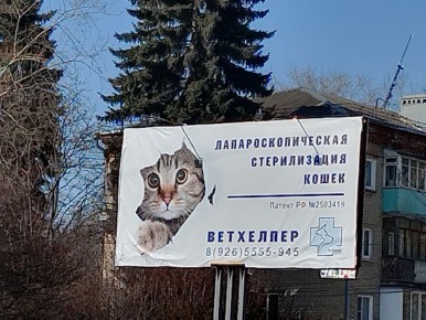 ��������� �������� ������� � �������