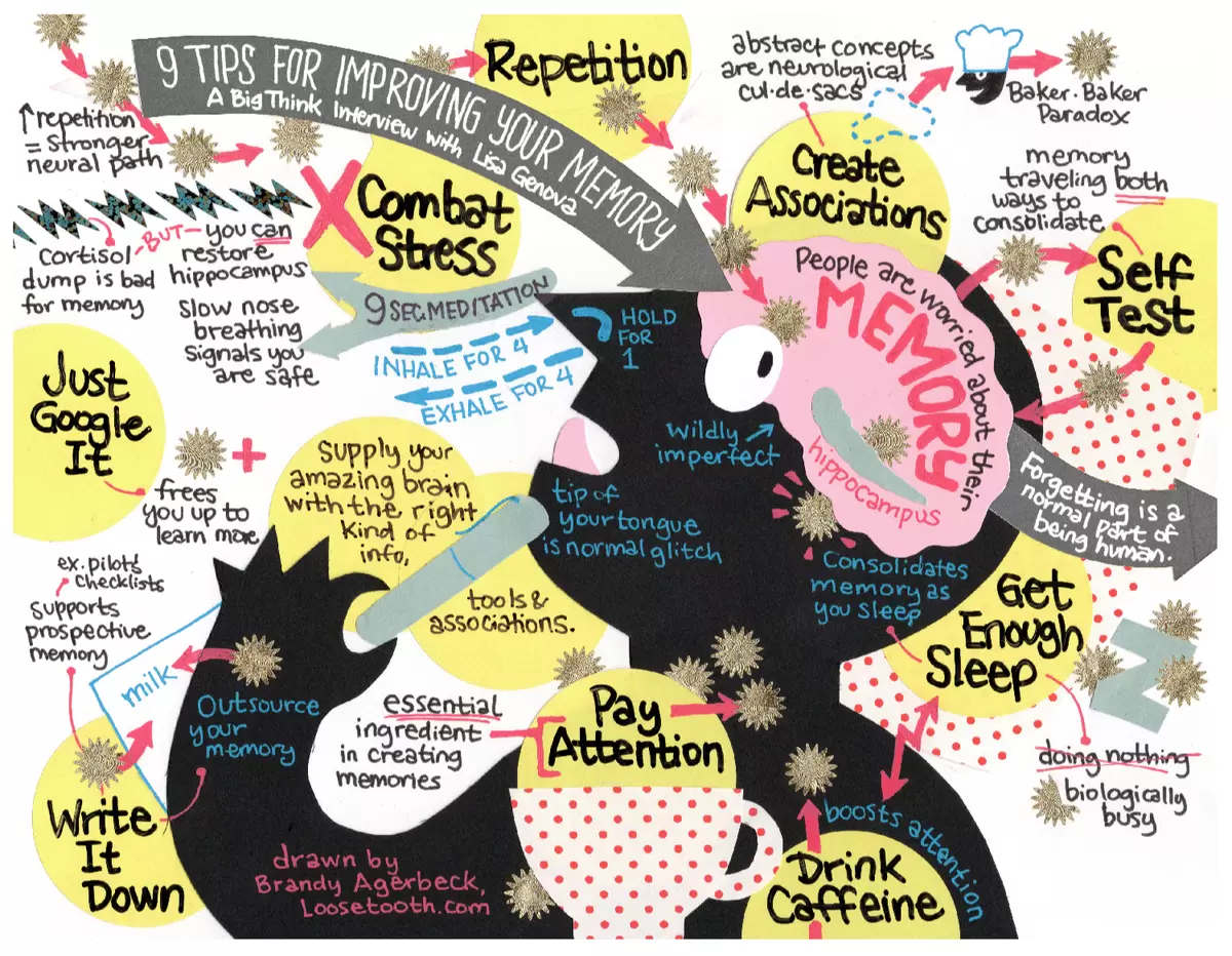 Почему знания не становятся навыками: разбор проблемы