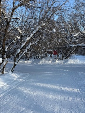 Фармакотерапия тревожных расстройств у детей: возможности и вызовы