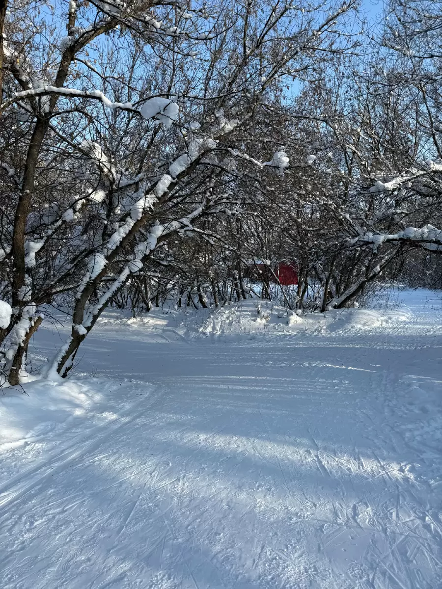 Фармакотерапия тревожных расстройств у детей: возможности и вызовы