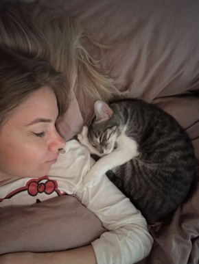 ������ ���������� ���������� ���� � ��������� ��