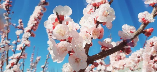 ����� ����� ��������� ����: ����������� � ��������� �������