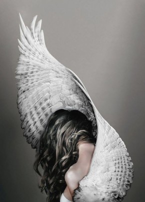 ���� ������: �� ���������� � ���������