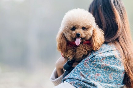 ������: ������������ ��������������� ��� ����� ������