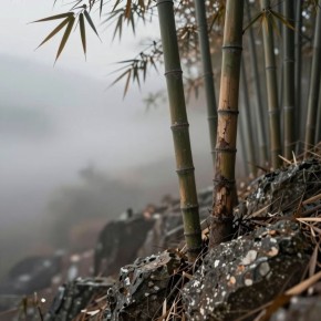 �������������: ������� ������� ��� ������ ������