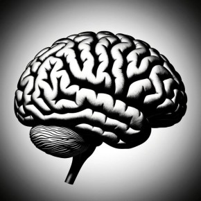 ���������� ������� ��� �������� ���������