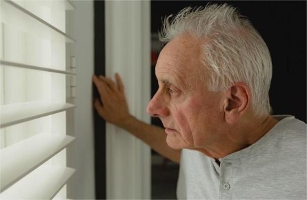 ������ ������� ������� �������� ��������: ������ ��� �������