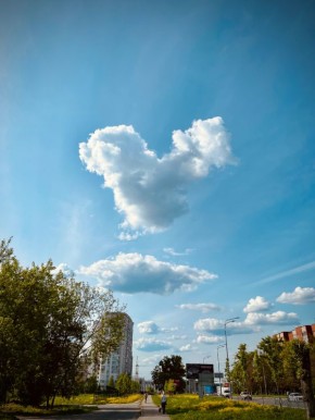 ��� ���������� �������� ������ � ����������� ����?