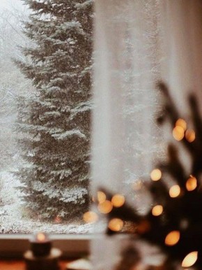 ���� � ���������: ����������, ������� ����������