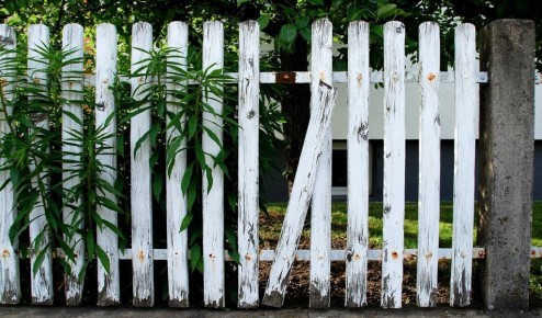 ������ ���� ������� �� �������� � ��� ��� ���������