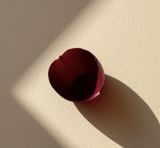 ���� ���������� �����: ����� �������� ������ ���������