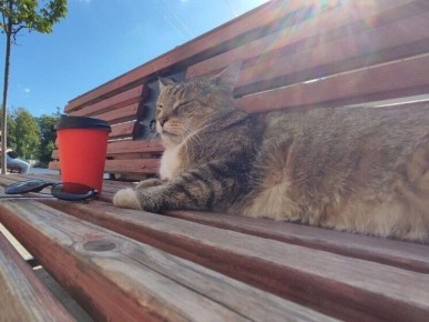 ��� ������ ������ �� ���� � ��� � ���� ������