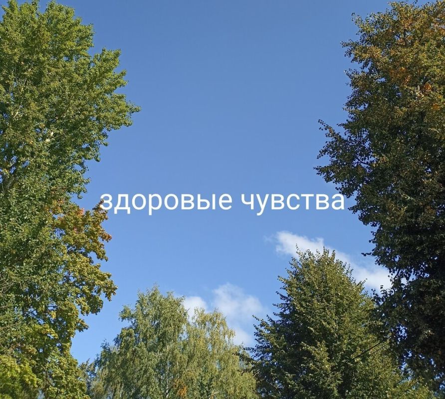 Здоровые чувства